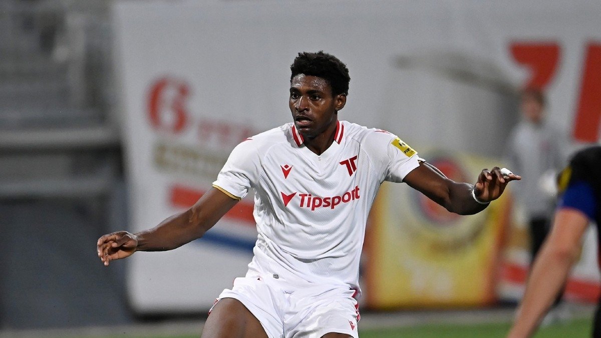 Emeka hamlesi