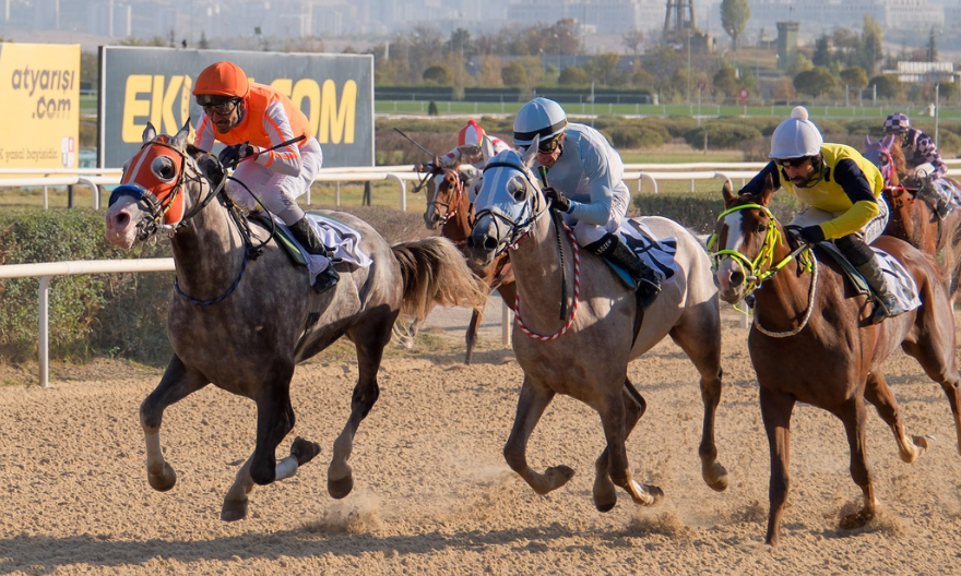 Sergökçe’den Haralar’da Namağlup Devam! | Yarış Dergisi