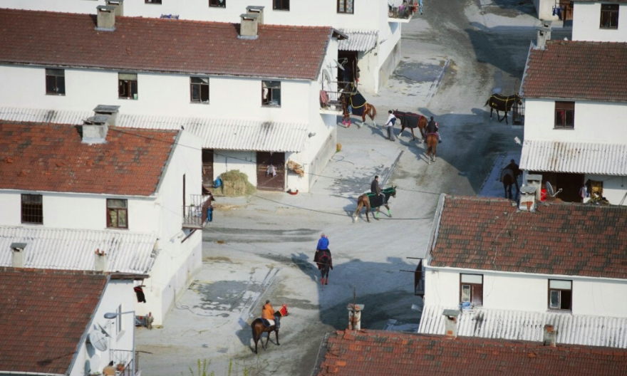 TJK 2025–2026 Sonbahar–Kış Sezonu Ahır Tahsisleri Açıklandı