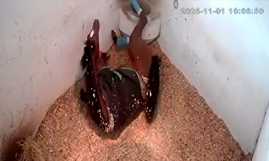 Cumhuriyet Koşusu Öncesi Aman Dulo’nun Yaşadığı Olaylar