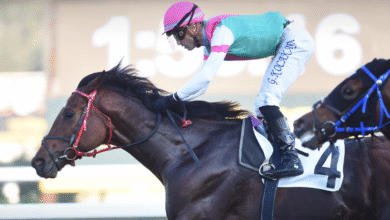 Build Your Dreams, Sakarya Koşusu’nu Kazandı