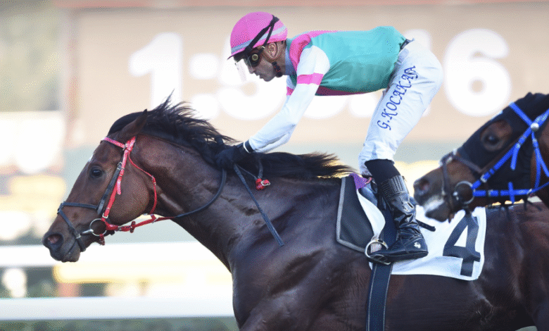 Build Your Dreams, Sakarya Koşusu’nu Kazandı