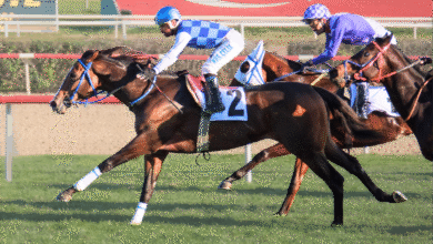 Ankara Sezonunun Kapanış Kupası’nı Diluvio Kazandı