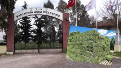 TJK Şanlıurfa Aşım İstasyonu’nda Tartışmalı Görüntüler