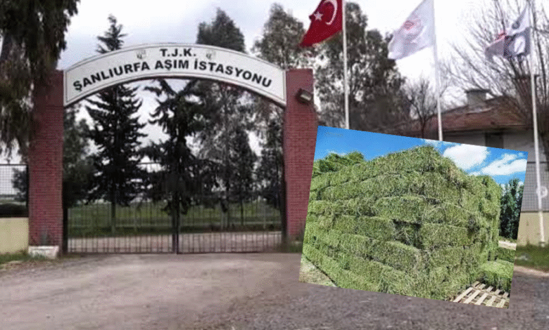 TJK Şanlıurfa Aşım İstasyonu’nda Tartışmalı Görüntüler