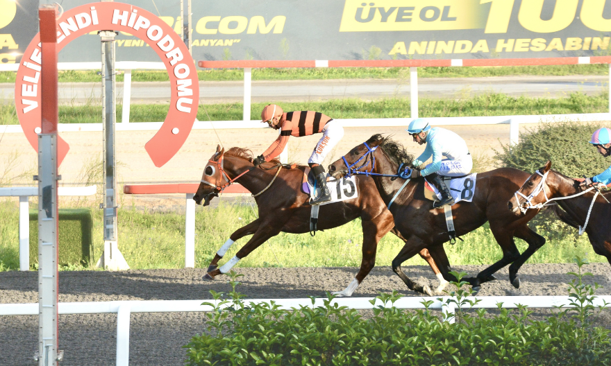 Shinny, Dolmabahçe Koşusu’nda Üst Üste Beşinci Zaferini