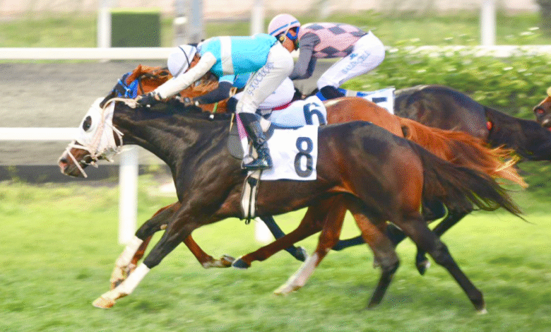 Tulumar, G3 Atıf Esenbel Koşusunu Kazandı