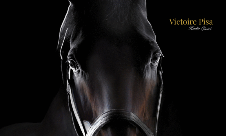 TJK, 2026 Aşım Sezonu Aygır Ücretlerini Duyurdu