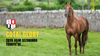 Cotai Glory 2026 Aşım Sezonunda Türkiye’de Hizmet Verecek