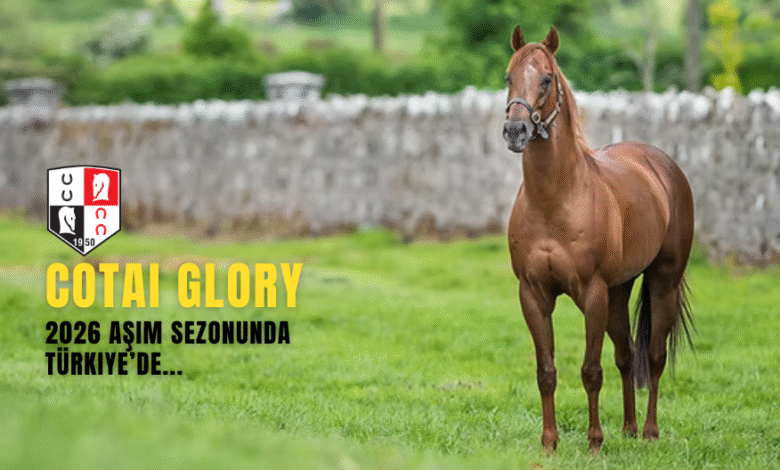 Cotai Glory 2026 Aşım Sezonunda Türkiye’de Hizmet Verecek