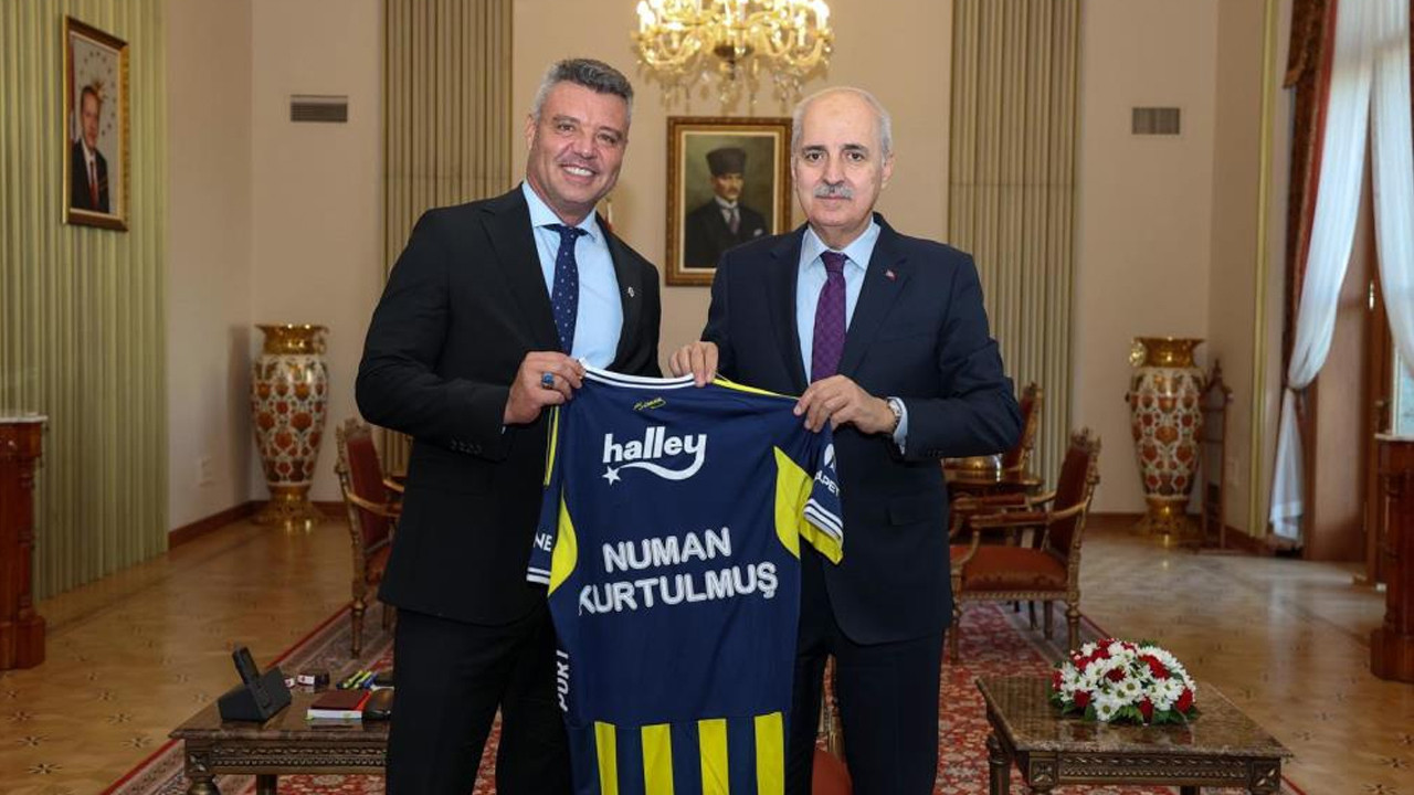 Fenerbahçe Başkanı Sadettin Saran, TBMM ve Bakanlık